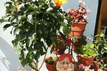 Изображение Изображение гостиницы &quot;Гостевой дом «У Андрея»&quot; #8 #8