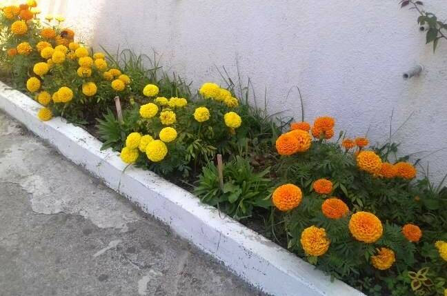 Изображение Изображение гостиницы "Гостевой дом «Зеленая горка»" #4 #4