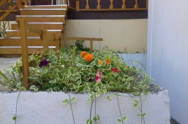 Изображение Изображение гостиницы "Гостевой дом «Зеленая горка»" #5 #5