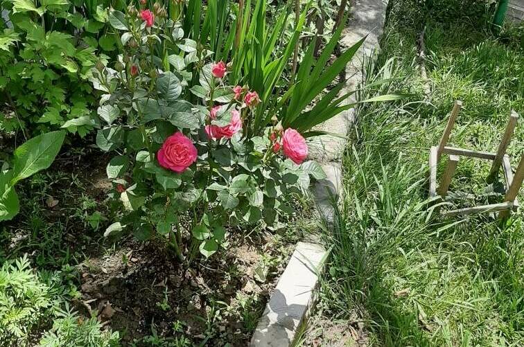 Изображение Изображение гостиницы "Гостевой дом «Зеленая горка»" #8 #8