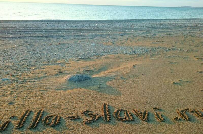 Изображение Изображение гостиницы "Мини-гостиница «Вилла Славы»" #3 #3