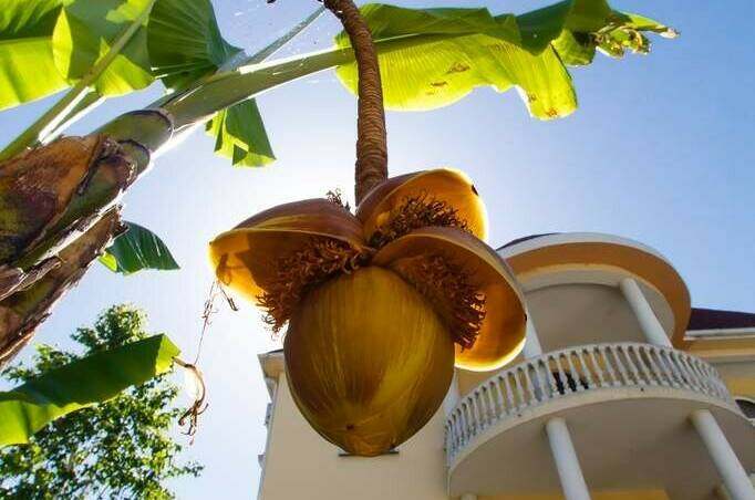 Изображение Изображение гостиницы "Гостиница «Рената»" #6 #6