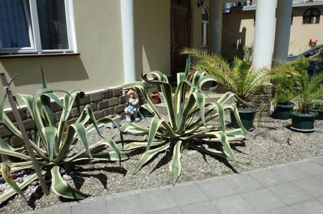 Изображение Изображение отеля / гостиницы "Гостиница «Рената»" #11 #9