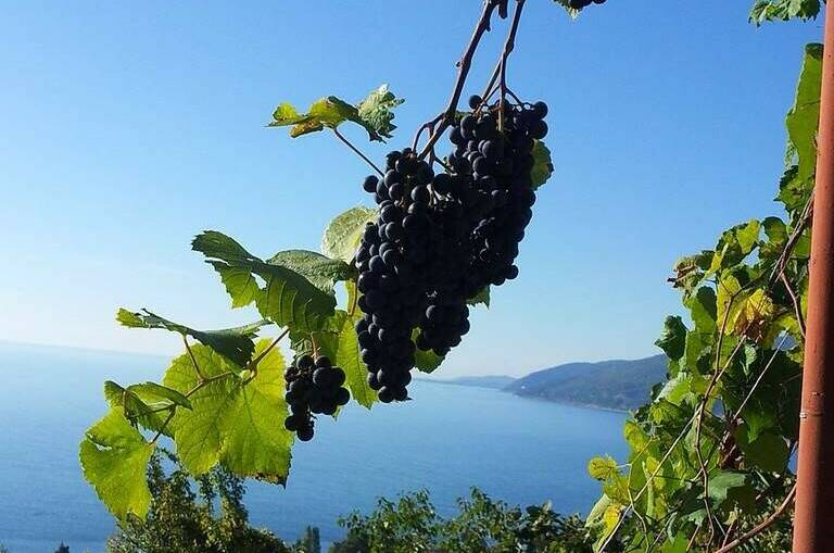 Изображение Изображение гостиницы &quot;Гостевой дом «0 метров до моря»&quot; #7 #7