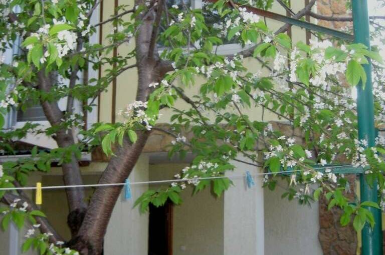 Изображение Изображение гостиницы &quot;Гостевой дом «Жанна»&quot; #3 #3