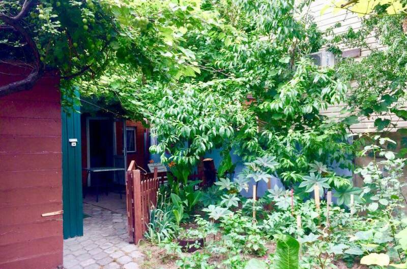 Изображение Изображение гостиницы &quot;Гостевой дом «Кефаль»&quot; #7 #7