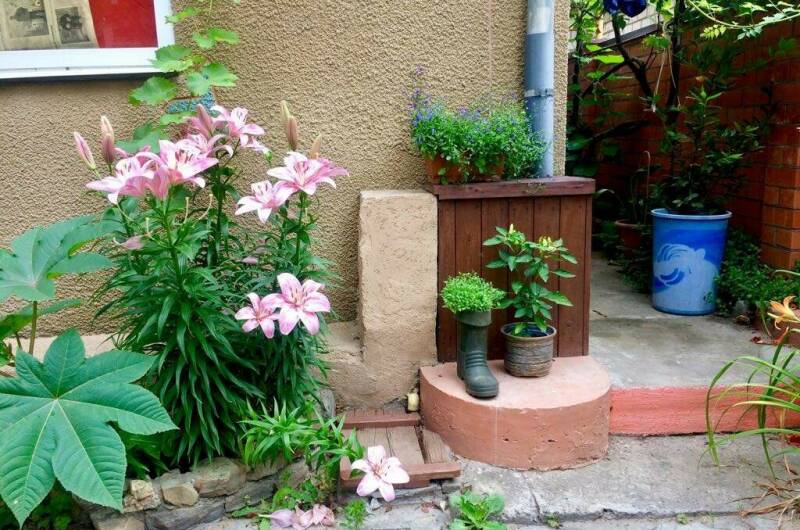 Изображение Изображение гостиницы &quot;Гостевой дом «Кефаль»&quot; #8 #8