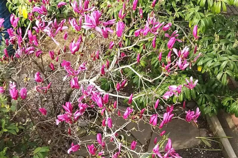 Изображение Изображение гостиницы &quot;Мини-отель «Итинисан» (1 2 3)&quot; #3 #3