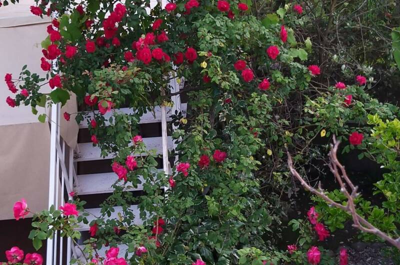 Изображение Изображение гостиницы &quot;Мини-отель «Итинисан» (1 2 3)&quot; #7 #7