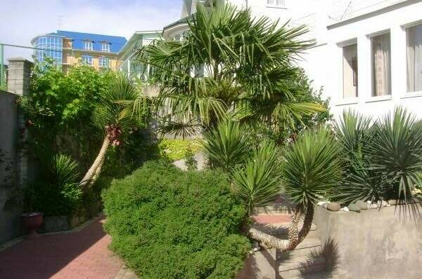 Изображение Изображение отеля / гостиницы "Мини-отель «Итинисан» (1 2 3)" #10 #8