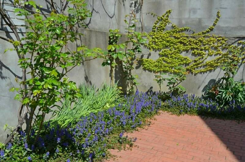 Изображение Изображение отеля / гостиницы "Мини-отель «Итинисан» (1 2 3)" #11 #9