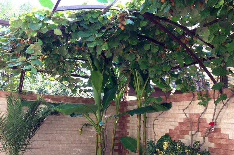 Изображение Изображение гостиницы "Отель «Маргарита»" #6 #6