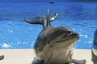 Изображение Изображение отеля / гостиницы "Отель «Аркадия»" #11 #9