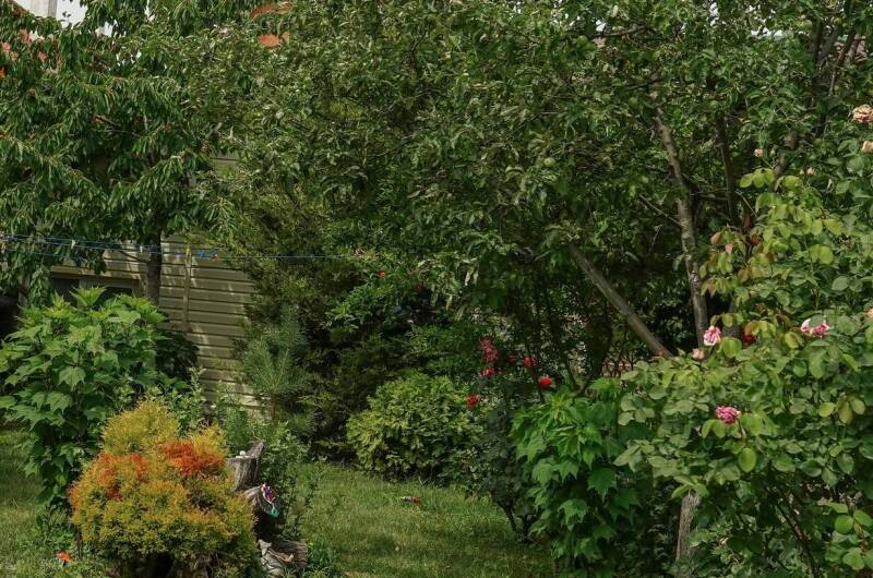 Изображение Изображение гостиницы &quot;Комната в частном доме на Ленина&quot; #5 #5