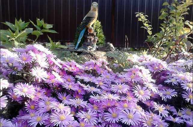 Изображение Изображение гостиницы &quot;Комната в частном доме на Ленина&quot; #6 #6