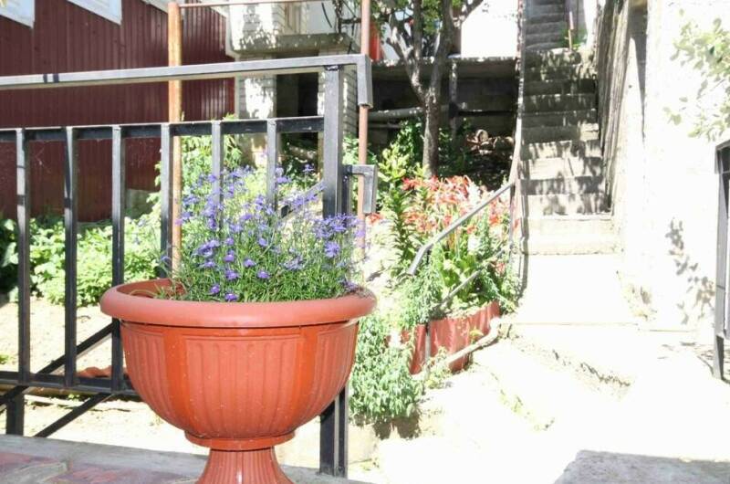 Изображение Изображение отеля / гостиницы "Гостевой дом «Максим»" #11 #9