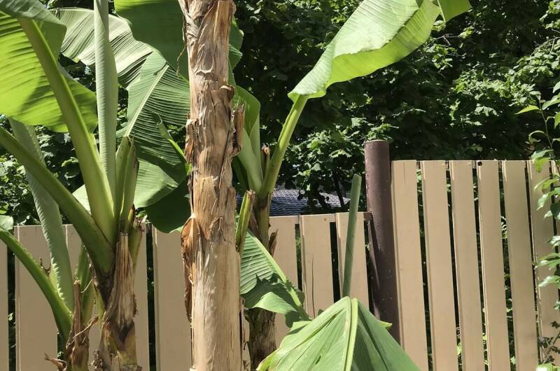 Изображение Изображение гостиницы "Гостевой дом «На Заречной 2 Б»" #6 #6