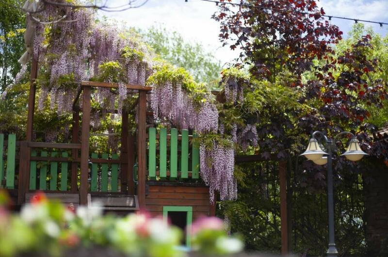 Изображение Изображение гостиницы &quot;Гостиница «Tortuga»&quot; #4 #4