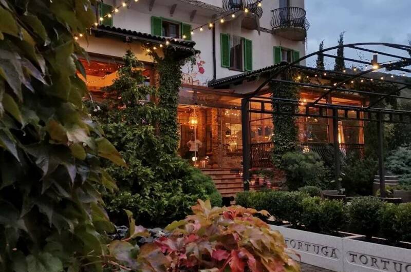 Изображение Изображение отеля / гостиницы "Гостиница «Tortuga»" #10 #8