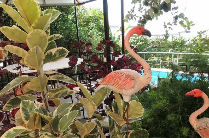 Изображение Изображение гостиницы &quot;Гостевой дом «У Николая»&quot; #7 #7