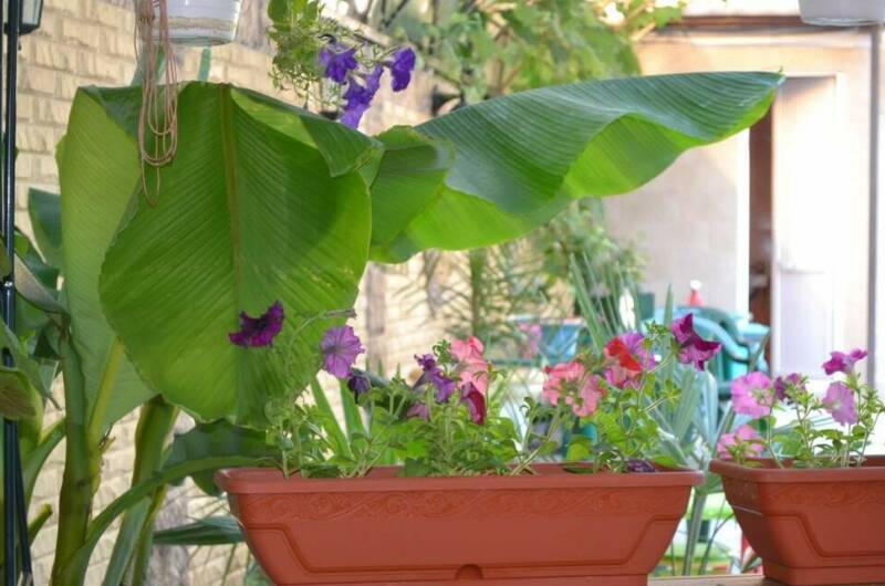 Изображение Изображение гостиницы "Гостевой дом «Солнечный»" #7 #7