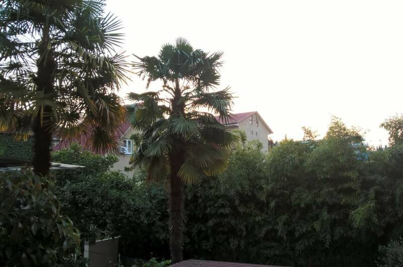 Изображение Изображение гостиницы "Гостевой дом «Сабрина»" #3 #3