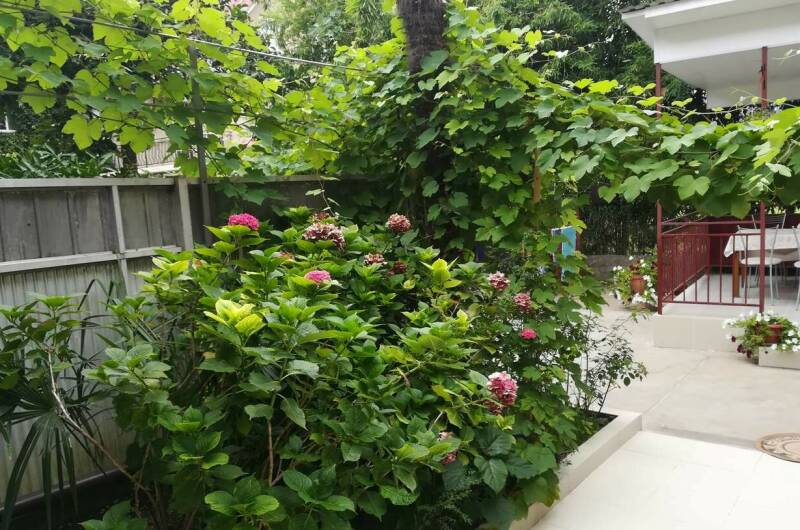 Изображение Изображение гостиницы "Гостевой дом «Сабрина»" #6 #6