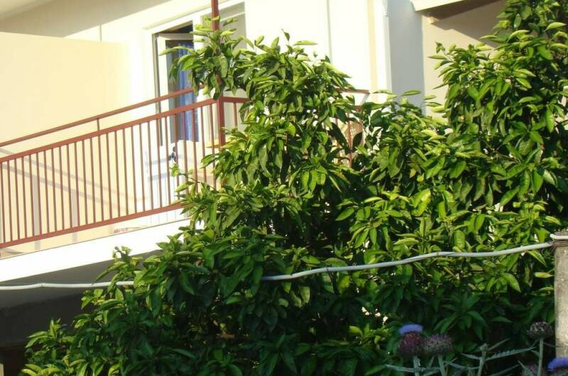 Изображение Изображение гостиницы "Гостевой дом «Бригантина»" #1 #1