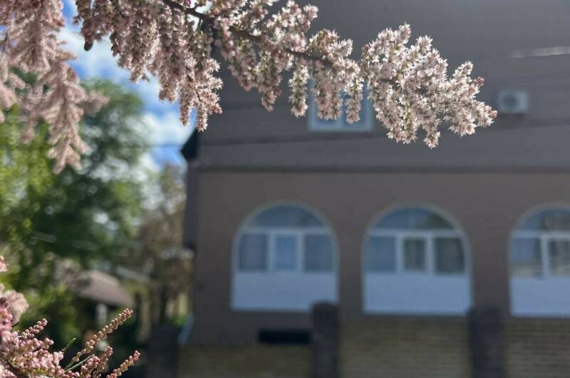 Изображение Изображение гостиницы &quot;Частный дом «Пальма»&quot; #5 #5