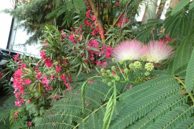 Изображение Изображение гостиницы &quot;Частный сектор на Лазарева&quot; #7 #7