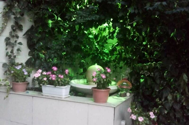 Изображение Изображение гостиницы &quot;Гостиница «Ника»&quot; #8 #8