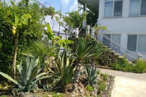 Изображение отеля / гостиницы "Гостевой дом «Бриз»"