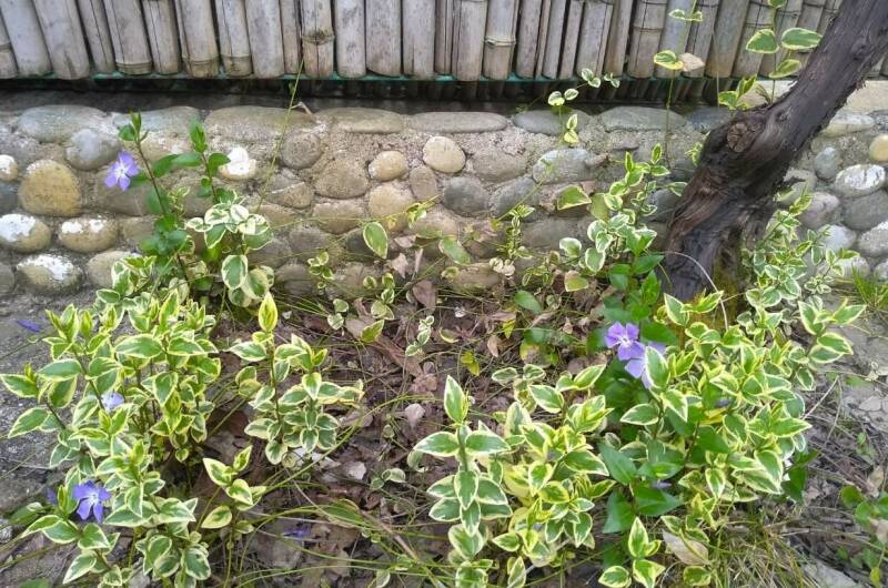 Изображение Изображение гостиницы "Гостевой дом «Бриз»" #3 #3