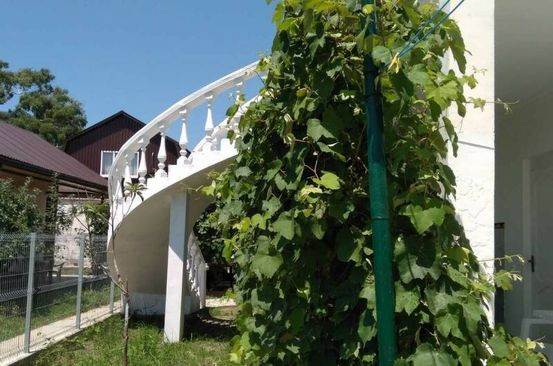 Изображение Изображение гостиницы "Гостевой дом «Бриз»" #6 #6