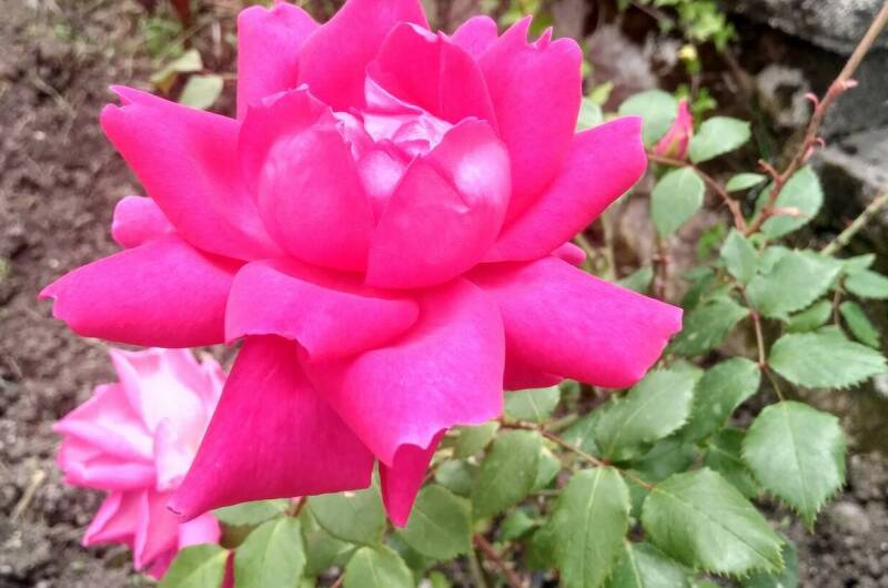 Изображение Изображение отеля / гостиницы "Гостевой дом «Бриз»" #11 #9