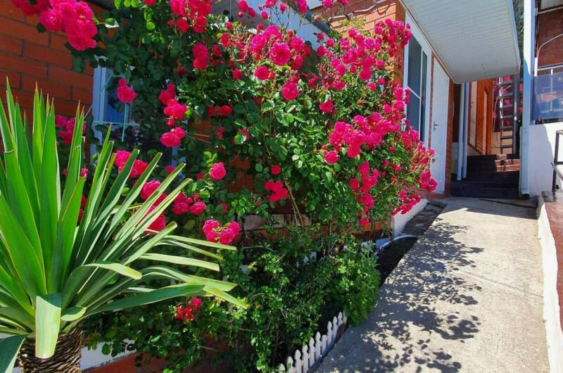 Изображение Изображение гостиницы &quot;Гостевой комплекс «Солнечный Эдем»&quot; #8 #8