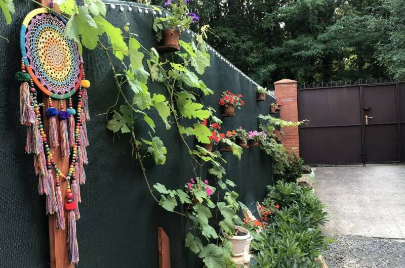 Изображение Изображение гостиницы &quot;Гостевой дом «Каштан»&quot; #2 #2