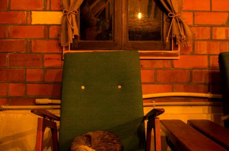 Изображение Изображение отеля / гостиницы "Гостевой дом «Каштан»" #11 #9