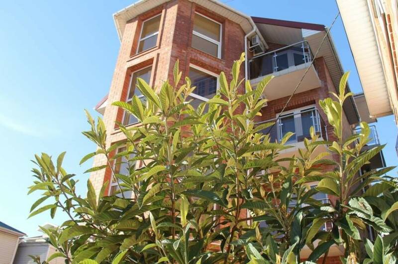 Изображение Изображение гостиницы "Гостевой дом «Диана»" #1 #1