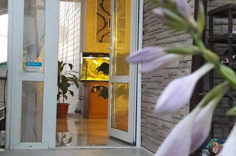 Изображение Изображение гостиницы &quot;Гостевой дом «Sun-City»&quot; #4 #4