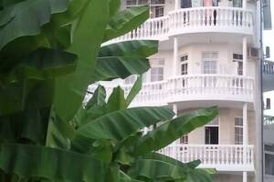 Изображение отеля / гостиницы "Гостиница «Светлана»"