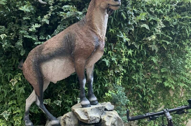 Изображение Изображение гостиницы "Гостиница «Светлана»" #4 #4