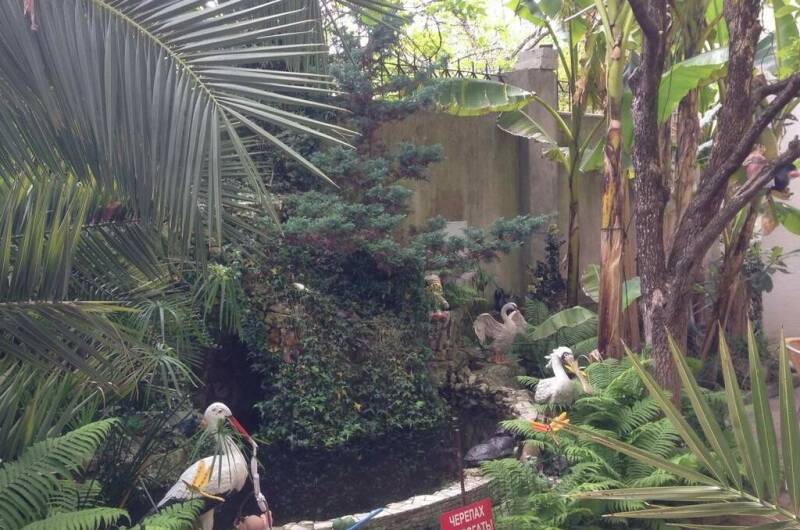 Изображение Изображение гостиницы "Гостиница «Светлана»" #5 #5