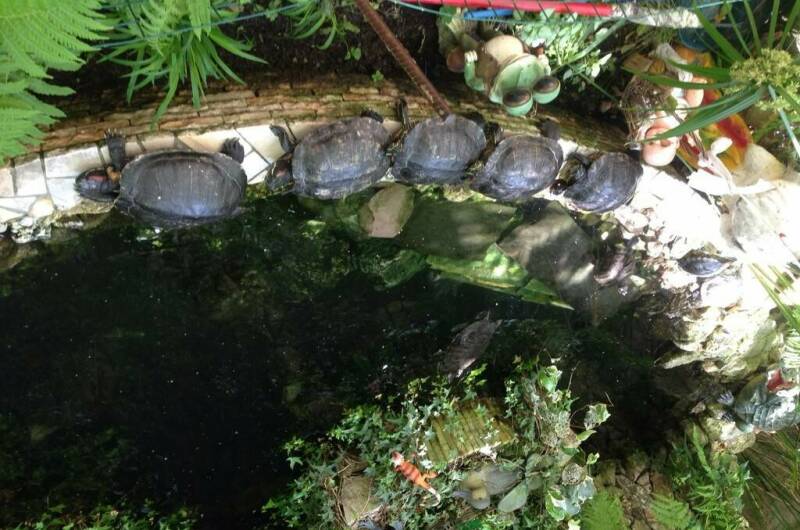 Изображение Изображение гостиницы "Гостиница «Светлана»" #7 #7