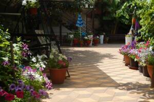 Изображение Гостевой дом «Адель» #2