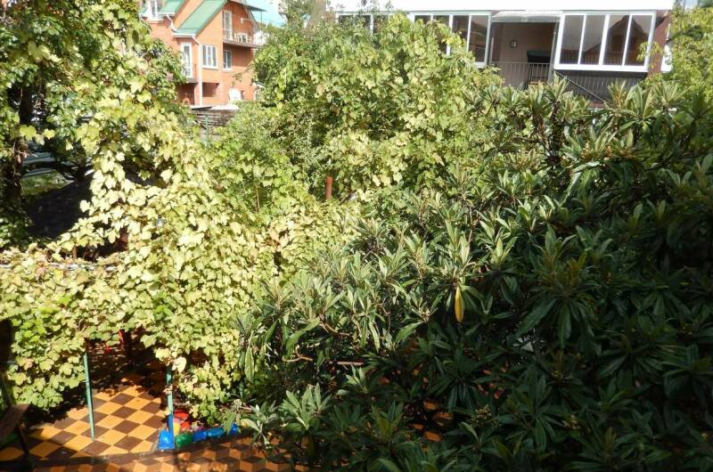 Изображение Изображение гостиницы &quot;Гостевой дом «Адель»&quot; #5 #5