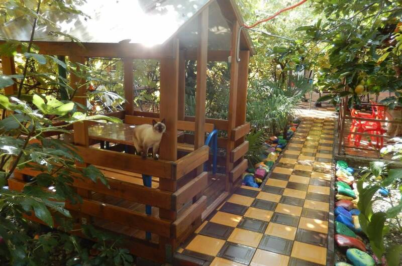 Изображение Изображение гостиницы &quot;Гостевой дом «Адель»&quot; #6 #6