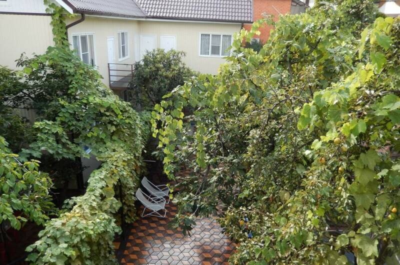 Изображение Изображение гостиницы &quot;Гостевой дом «Адель»&quot; #8 #8