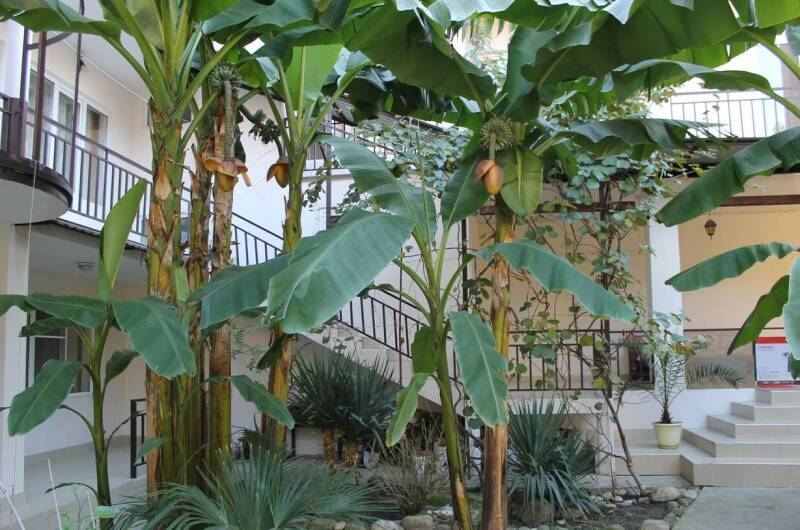 Изображение Изображение гостиницы &quot;Гостиница «У Александра»&quot; #2 #2