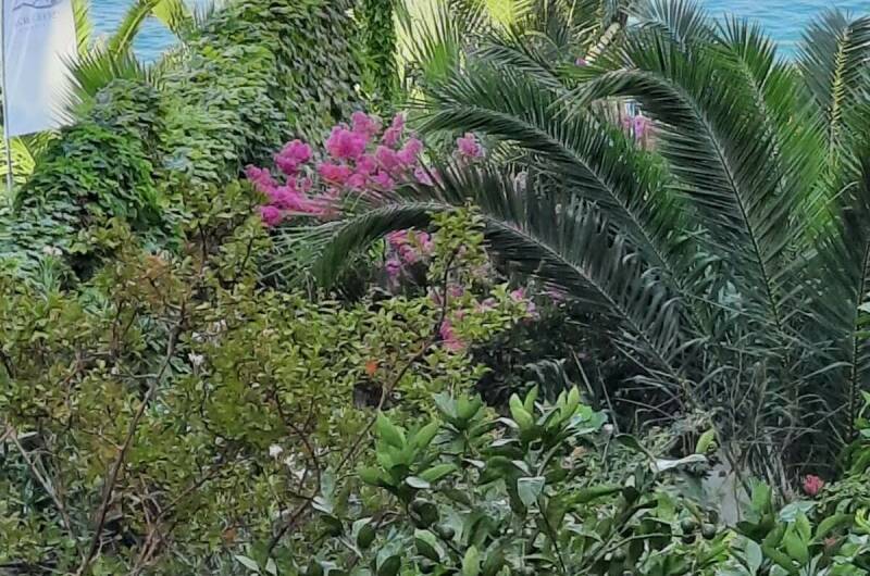 Изображение Изображение гостиницы &quot;Гостевой дом «Мистраль»&quot; #2 #2